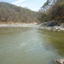 Playa Guayabito